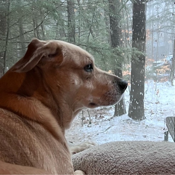 Meet your Posher, Michelle - Picture 13 of 15